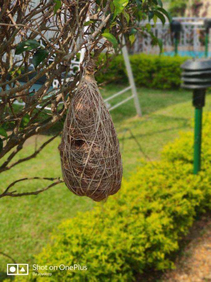 بولبور New Hemanjali Resort المظهر الخارجي الصورة